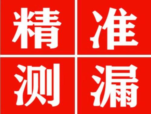 临颍尚嘉漏水精准查找