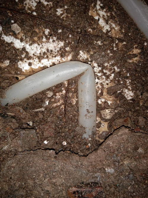 临颍堵点精准查找